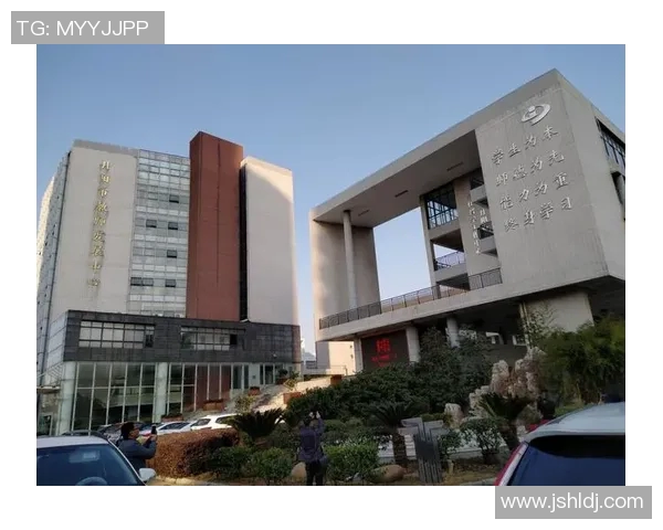 南京羽毛球队整体压制革新之路探秘与未来展望 南京羽毛球队整体压制革新之路探秘与未来展望