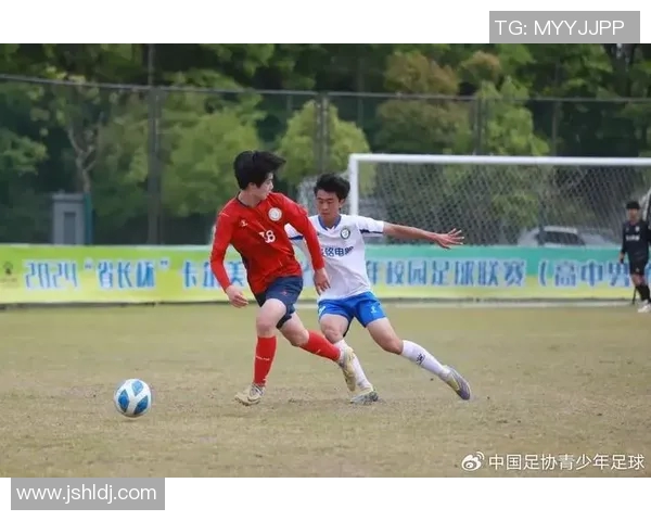 南京足球队在足球比赛经验排名中创下新高引发广泛关注与讨论