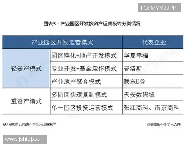 深入分析北京篮球队的运营策略与市场推广模式