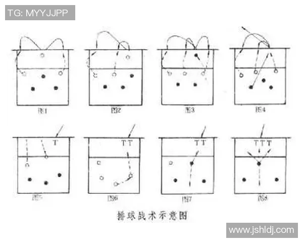 深圳排球队防守分析与战术调整对比赛结果的影响探讨